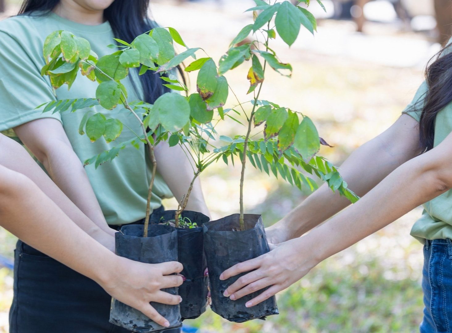 Jornada de voluntariado en Villalar: reforestación, polinizadores y cajas nido