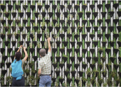 Competencias verdes y digitales: la nueva formación para el empleo rural del futuro